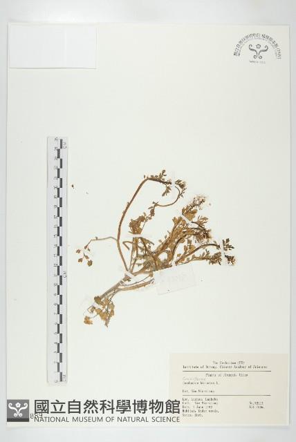 Accession Number:S018889 Collection Image, Figure 1, Total 2 Figures