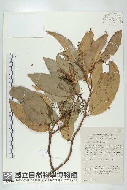 登錄號:S058889藏品圖，第1張