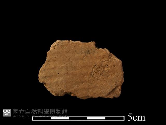 陶片藏品圖，第1張