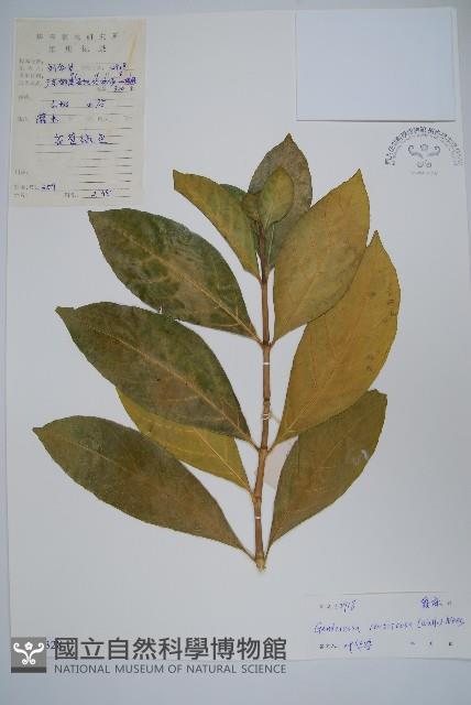 登錄號:S039328藏品圖，第1張