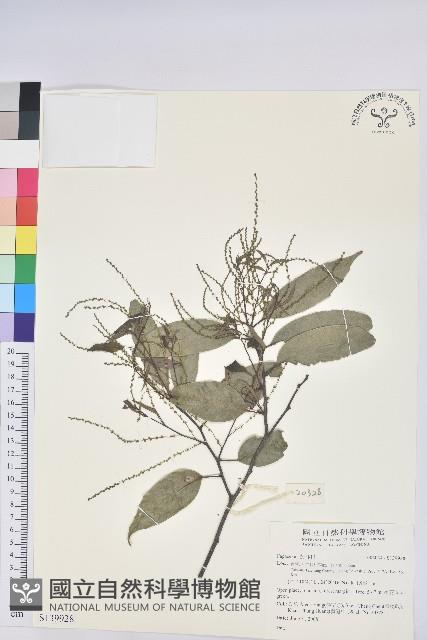 登錄號:S139928藏品圖，第1張