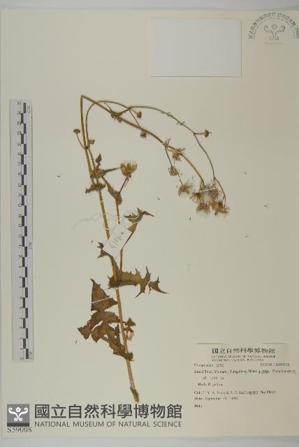 登錄號:S059008藏品圖，第1張