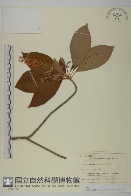 華東山柳藏品圖，第1張