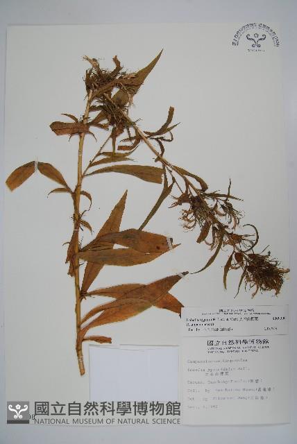 Accession Number:S009308 Collection Image, Figure 1, Total 2 Figures