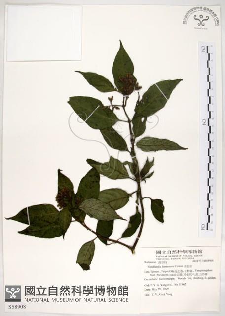 水金京藏品圖，第1張