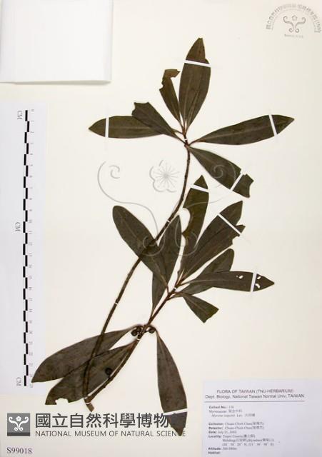 大明橘藏品圖，第1張