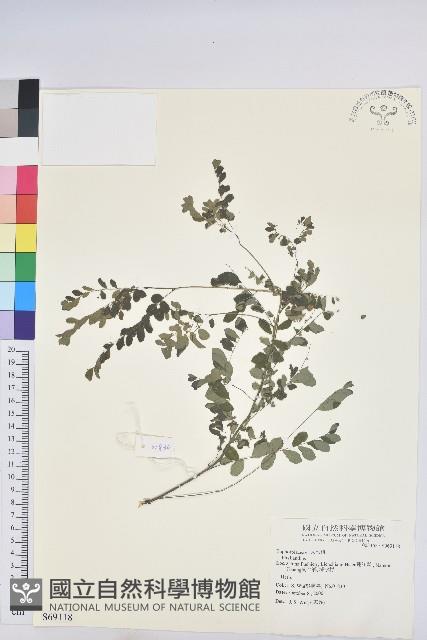 登錄號:S069118藏品圖，第1張