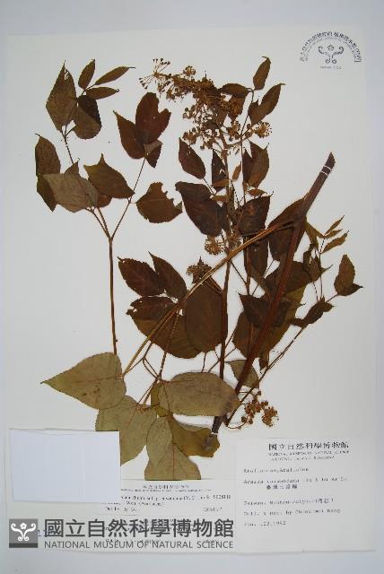 登錄號:S008118藏品圖，第1張