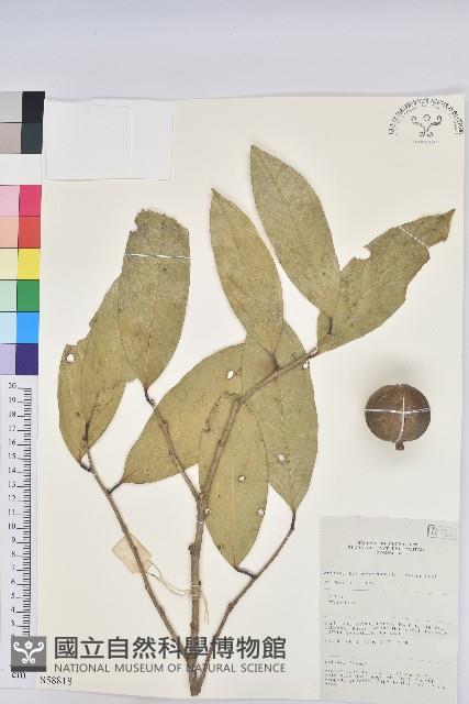 登錄號:S058818藏品圖，第1張