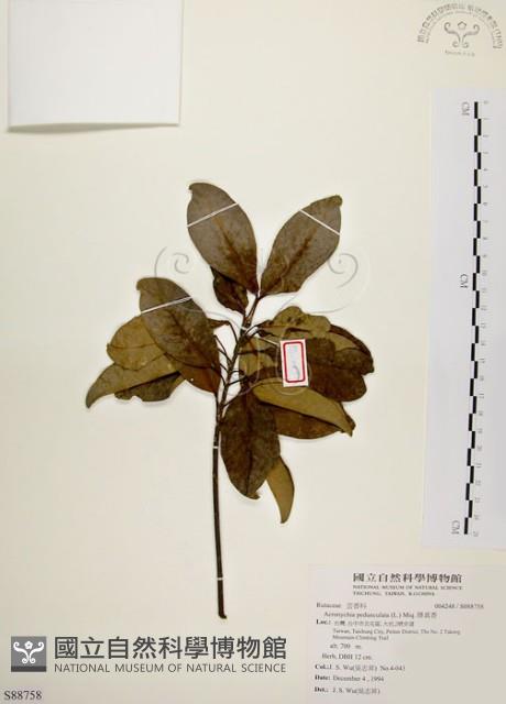 降真香藏品圖，第1張