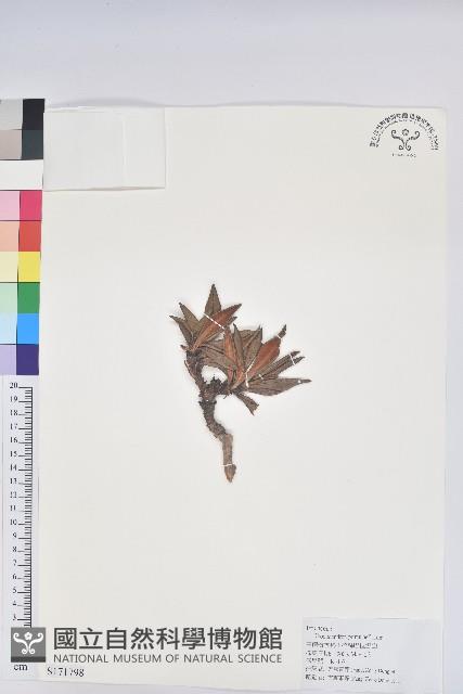 Accession Number:S171798 Collection Image