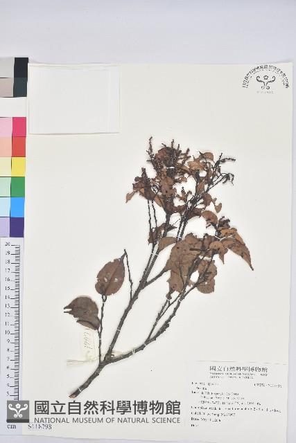 登錄號:S118798藏品圖，第1張