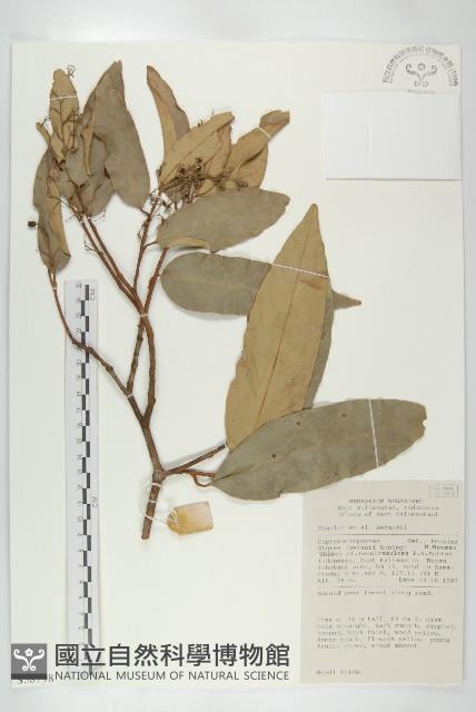 登錄號:S058798藏品圖，第1張