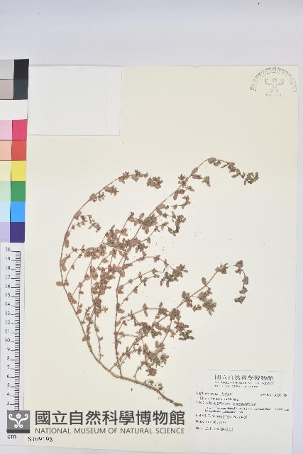 登錄號:S109198藏品圖，第1張