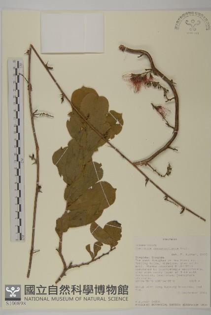 登錄號:S100898藏品圖，第1張