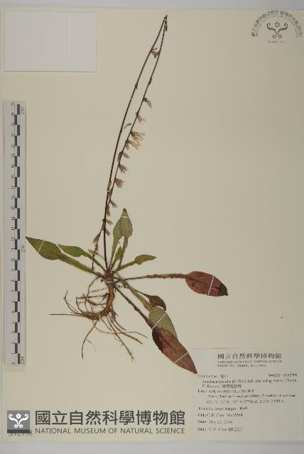 臺灣鬼督郵藏品圖，第1張