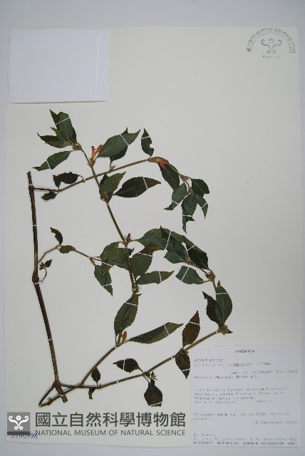登錄號:S100998藏品圖，第1張