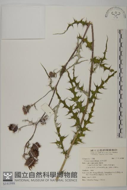 鈴木氏薊藏品圖，第1張