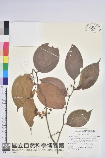 登錄號:S118998藏品圖，第1張