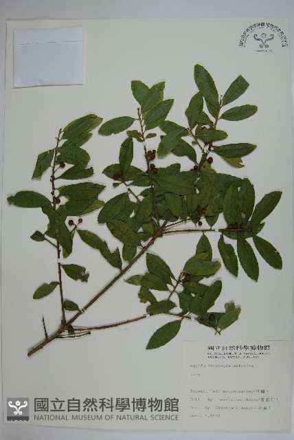 登錄號:S009068藏品圖，第1張