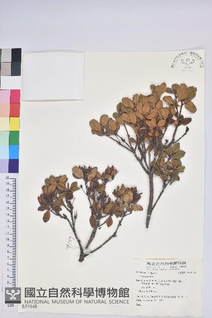 登錄號:S059148藏品圖，第1張