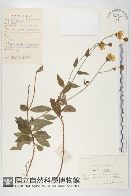 登錄號:S059548藏品圖，第1張