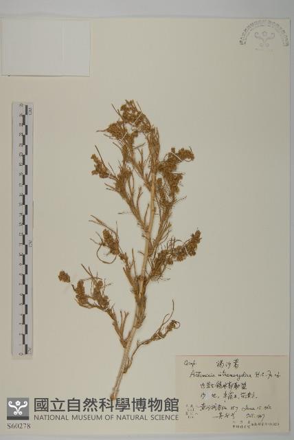 登錄號:S060278藏品圖，第1張