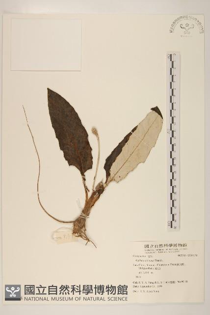 登錄號:S059178藏品圖，第1張