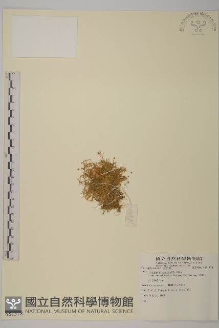 登錄號:S081378藏品圖，第1張