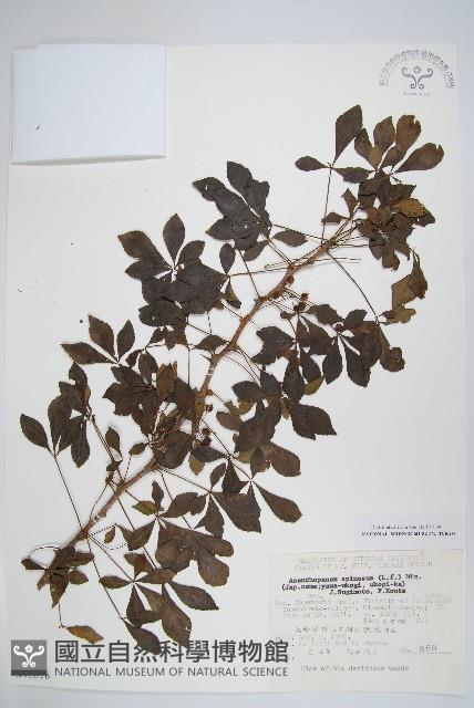 登錄號:S048878藏品圖，第1張