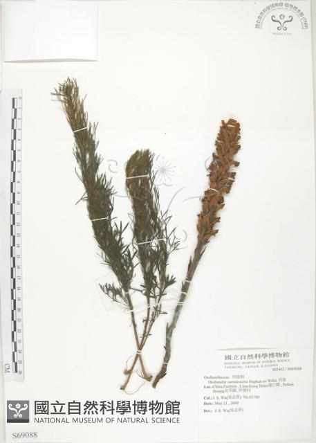 列當藏品圖，第1張