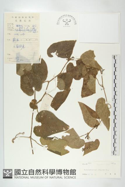 全緣括樓藏品圖，第1張