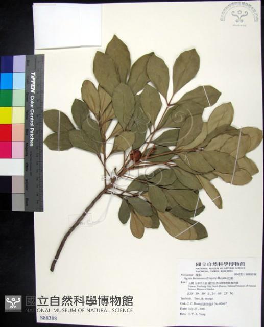 紅柴藏品圖，第1張