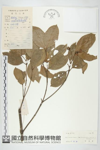 Accession Number:S038888 Collection Image, Figure 1, Total 3 Figures