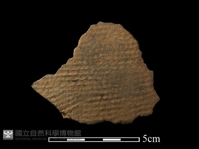 陶片藏品圖，第1張