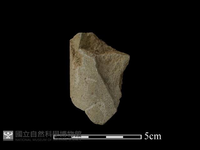 磨製斧鋤形器藏品圖，第2張