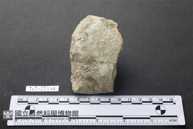 磨製斧鋤形器藏品圖，第1張