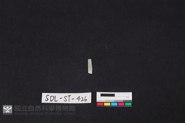 Accession Number:SDL-ST-426 Collection Image, Figure 1, Total 2 Figures