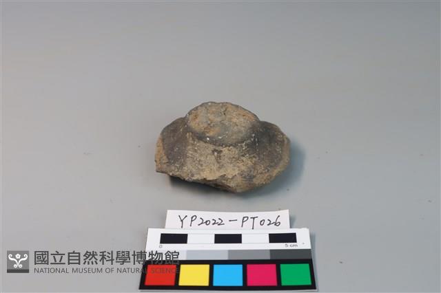 碗/淺盤型陶蓋藏品圖，第1張