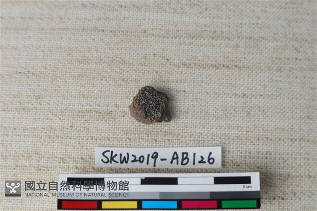 獸骨藏品圖，第1張