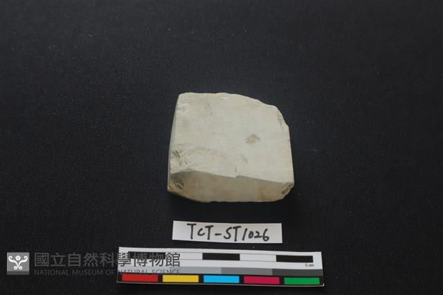 錛鑿形器藏品圖，第1張