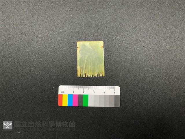 梳齒型玉器複製品藏品圖，第1張