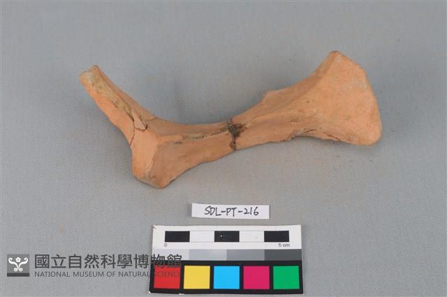 連杯形器藏品圖，第1張