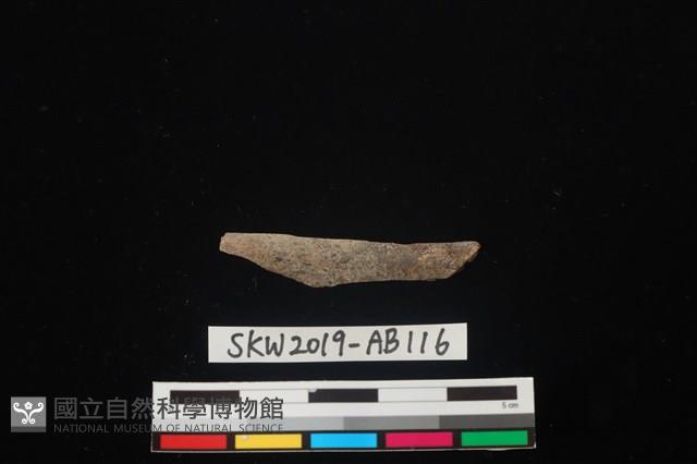 獸骨藏品圖，第1張