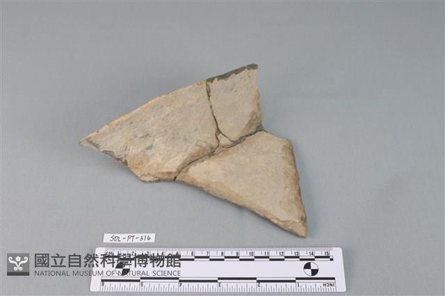 陶罐藏品圖，第1張