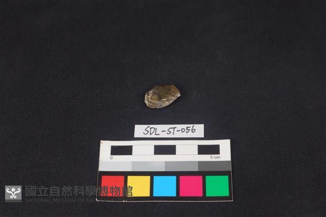 錛鑿形器藏品圖，第1張