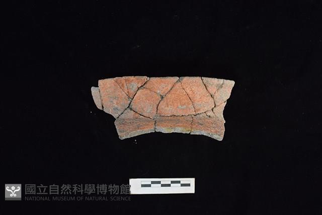 陶罐藏品圖，第1張