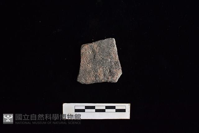 陶片藏品圖，第1張