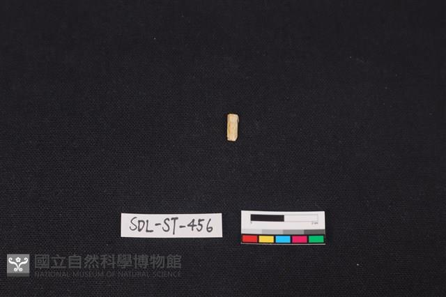 玉飾藏品圖，第1張