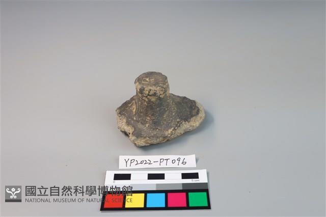碗/淺盤型陶蓋藏品圖，第1張